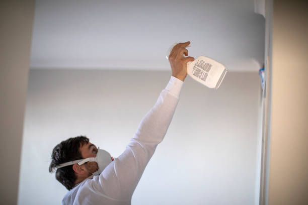 Best Same-Day Mold Removal  in Saddlebrooke, AZ
