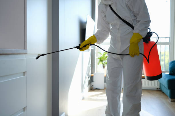 Best Professional Mold Removal  in Saddlebrooke, AZ